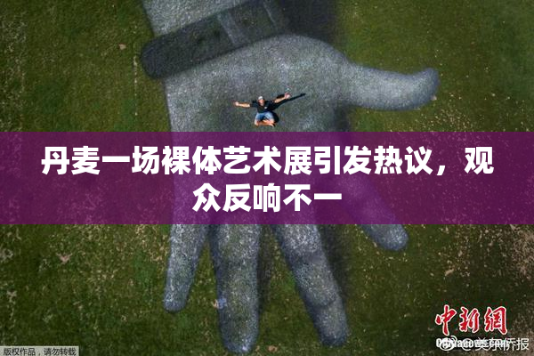 丹麦一场裸体艺术展引发热议，观众反响不一