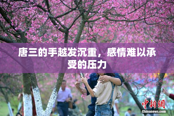 唐三的手越发沉重，感情难以承受的压力