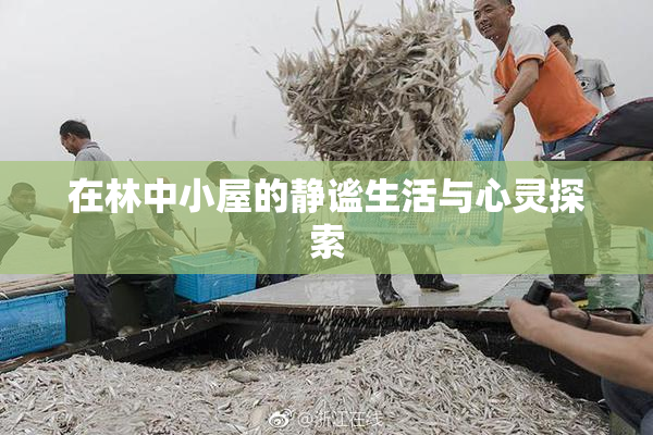 在林中小屋的静谧生活与心灵探索