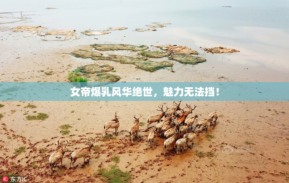 女帝爆乳风华绝世，魅力无法挡！