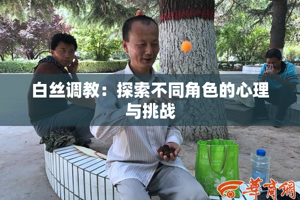 白丝调教：探索不同角色的心理与挑战