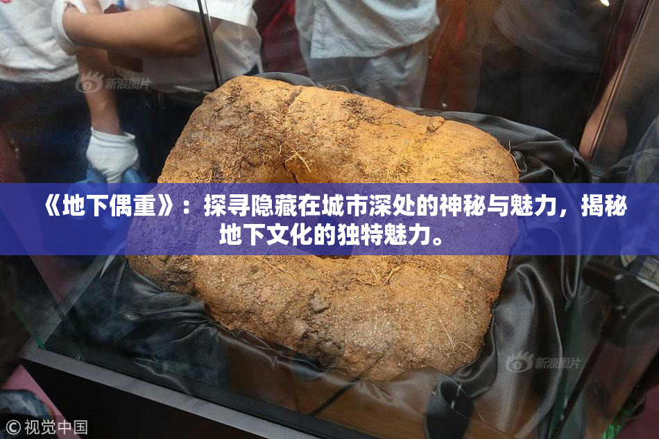 《地下偶重》：探寻隐藏在城市深处的神秘与魅力，揭秘地下文化的独特魅力。
