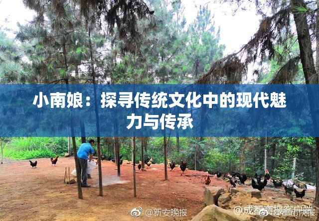 小南娘：探寻传统文化中的现代魅力与传承