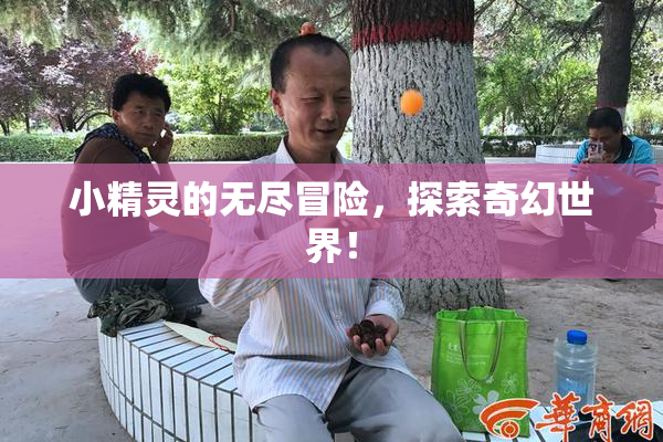 小精灵的无尽冒险，探索奇幻世界！