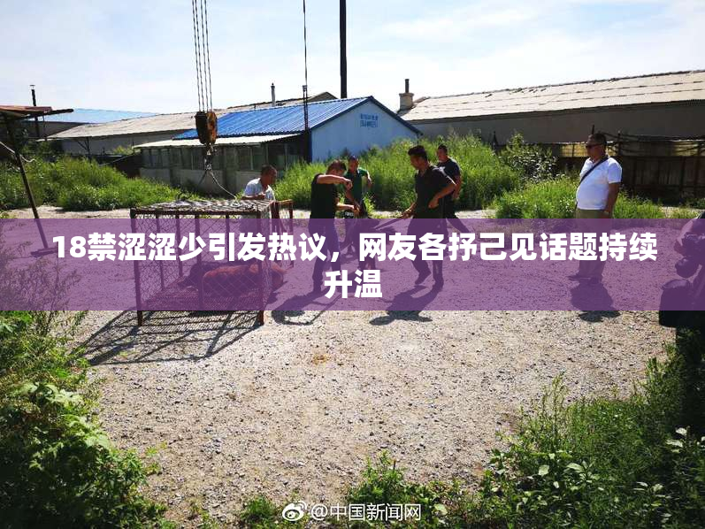 18禁涩涩少引发热议，网友各抒己见话题持续升温