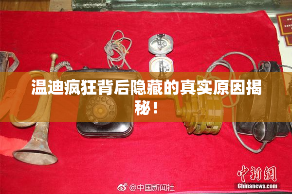 温迪疯狂背后隐藏的真实原因揭秘！