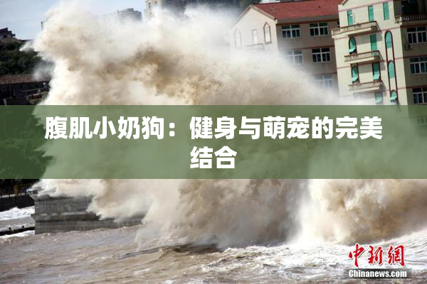 腹肌小奶狗：健身与萌宠的完美结合