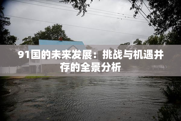 91国的未来发展：挑战与机遇并存的全景分析