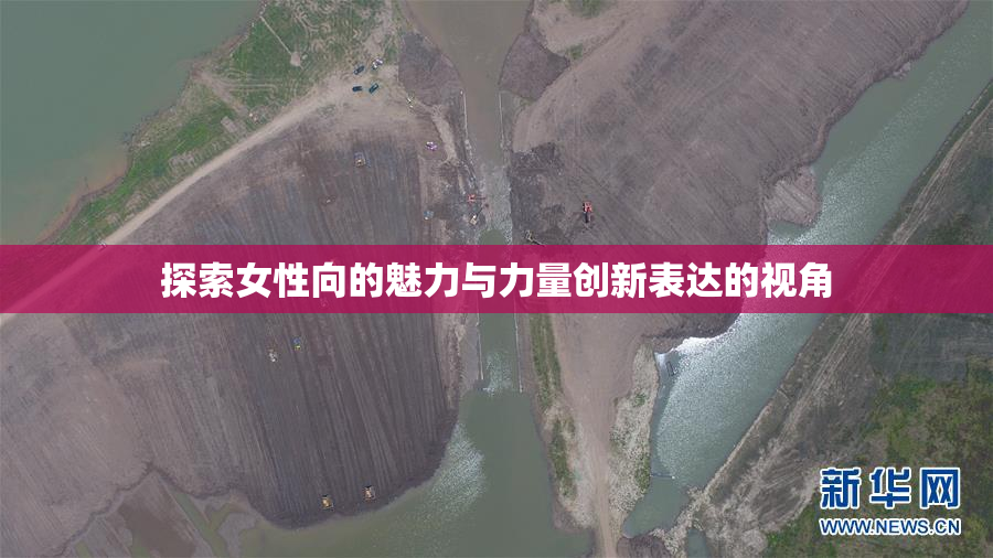 探索女性向的魅力与力量创新表达的视角
