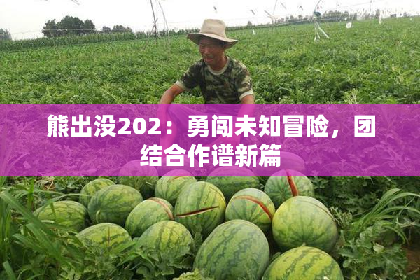 熊出没202：勇闯未知冒险，团结合作谱新篇