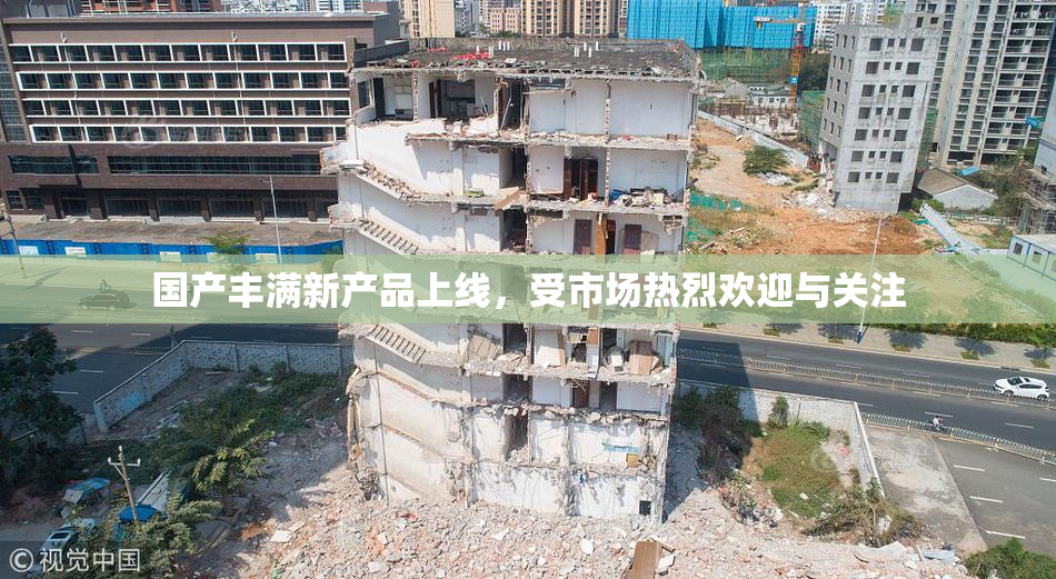 国产丰满新产品上线，受市场热烈欢迎与关注