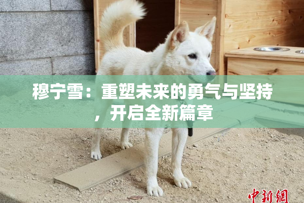 穆宁雪：重塑未来的勇气与坚持，开启全新篇章
