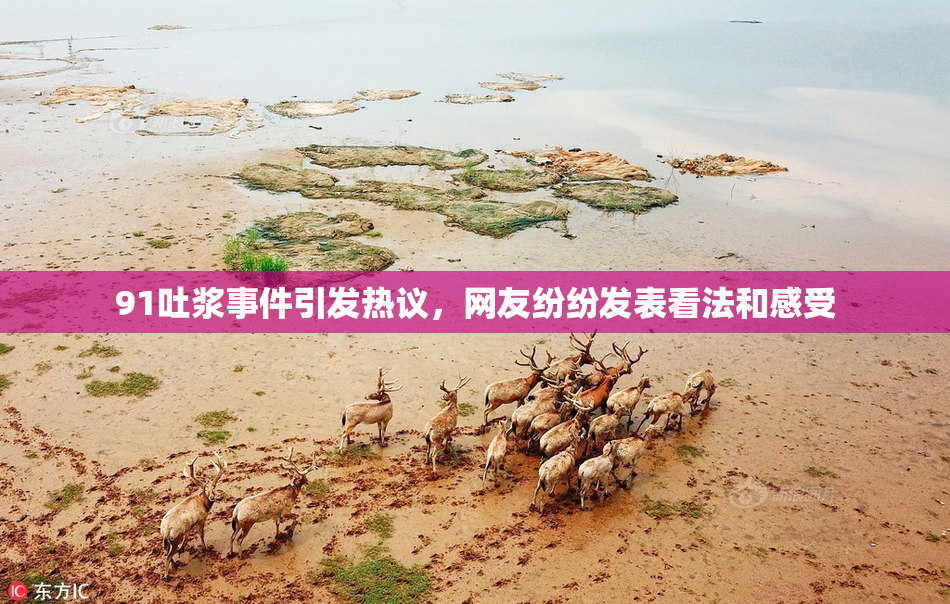 91吐浆事件引发热议，网友纷纷发表看法和感受