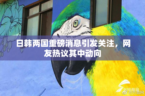 日韩两国重磅消息引发关注，网友热议其中动向