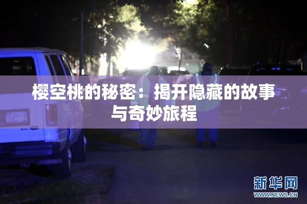 樱空桃的秘密：揭开隐藏的故事与奇妙旅程