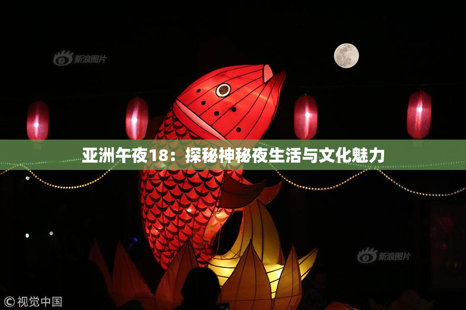 亚洲午夜18：探秘神秘夜生活与文化魅力