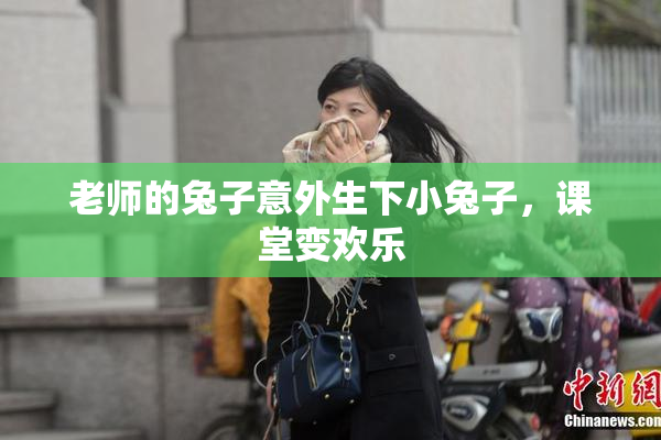 老师的兔子意外生下小兔子，课堂变欢乐