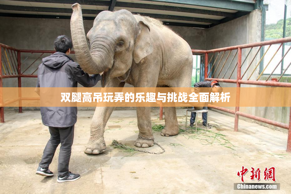 双腿高吊玩弄的乐趣与挑战全面解析