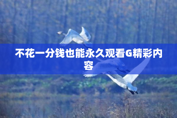不花一分钱也能永久观看G精彩内容