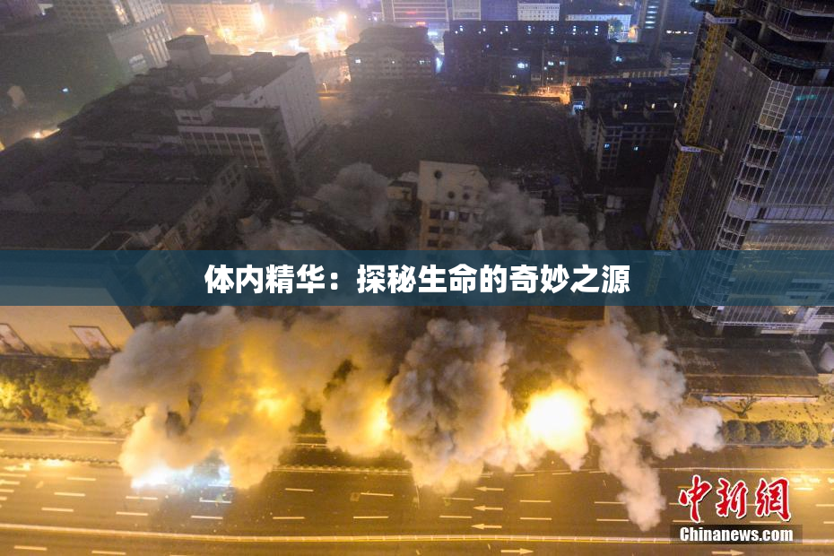 体内精华：探秘生命的奇妙之源