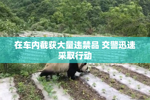 在车内截获大量违禁品 交警迅速采取行动