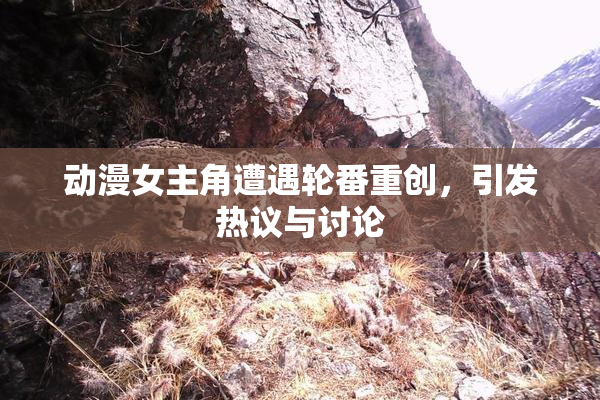 动漫女主角遭遇轮番重创，引发热议与讨论