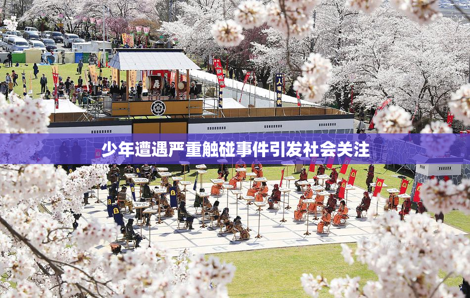 少年遭遇严重触碰事件引发社会关注