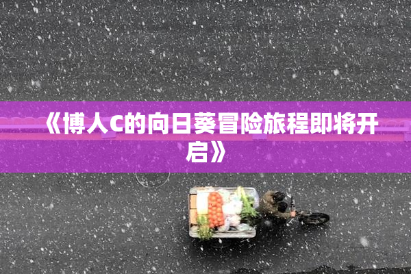 《博人C的向日葵冒险旅程即将开启》