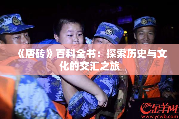 《唐砖》百科全书：探索历史与文化的交汇之旅
