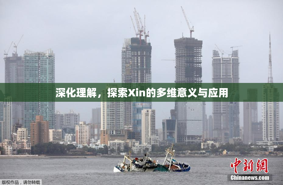 深化理解，探索Xin的多维意义与应用