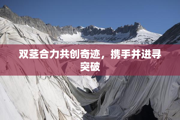 双茎合力共创奇迹，携手并进寻突破