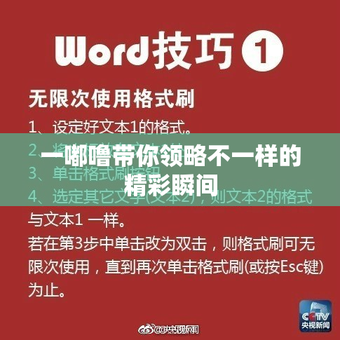 一嘟噜带你领略不一样的精彩瞬间