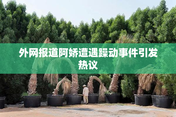 外网报道阿娇遭遇躁动事件引发热议