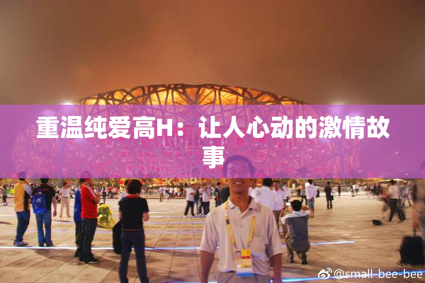 重温纯爱高H：让人心动的激情故事