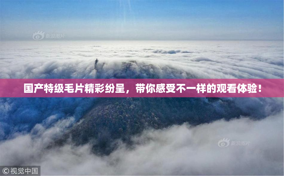 国产特级毛片精彩纷呈，带你感受不一样的观看体验！