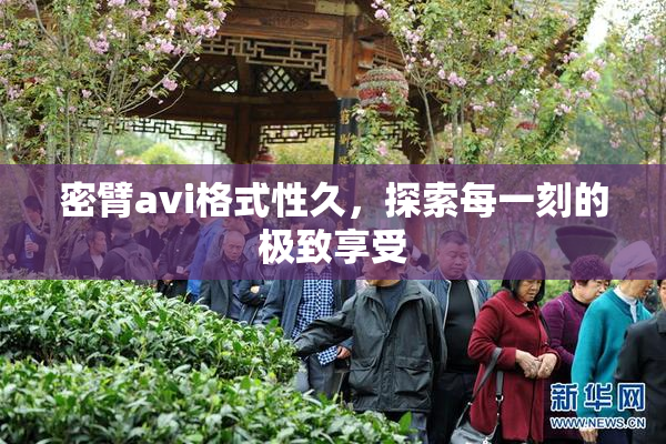 密臂avi格式性久，探索每一刻的极致享受