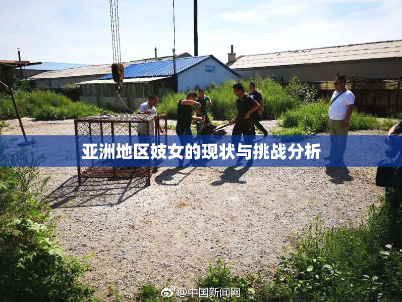亚洲地区妓女的现状与挑战分析