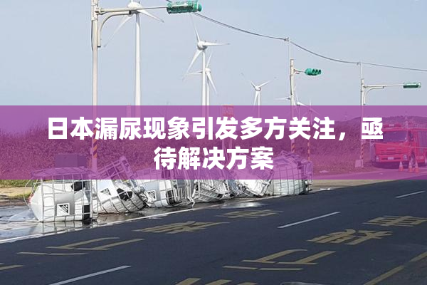 日本漏尿现象引发多方关注，亟待解决方案