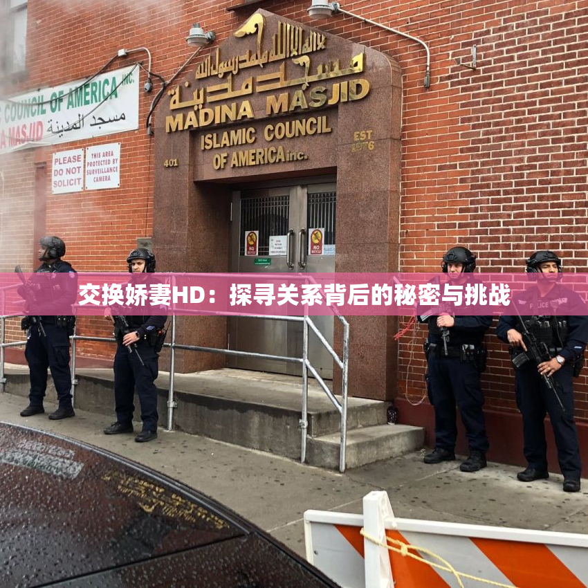 交换娇妻HD：探寻关系背后的秘密与挑战