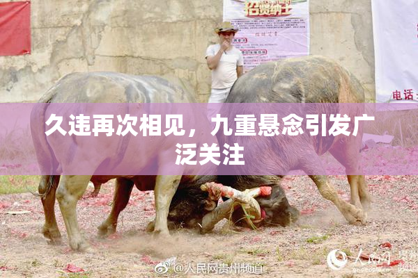 久违再次相见，九重悬念引发广泛关注