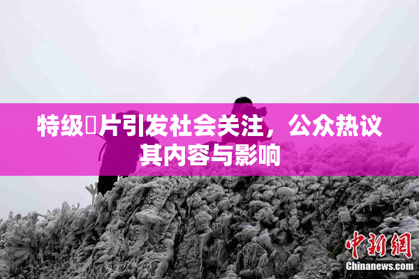 特级婬片引发社会关注，公众热议其内容与影响