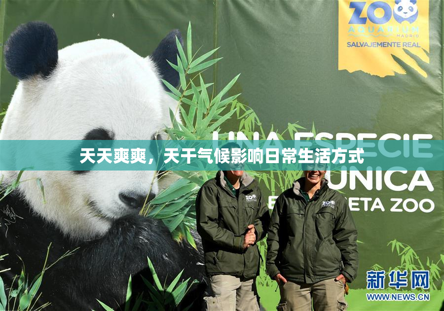 天天爽爽，天干气候影响日常生活方式
