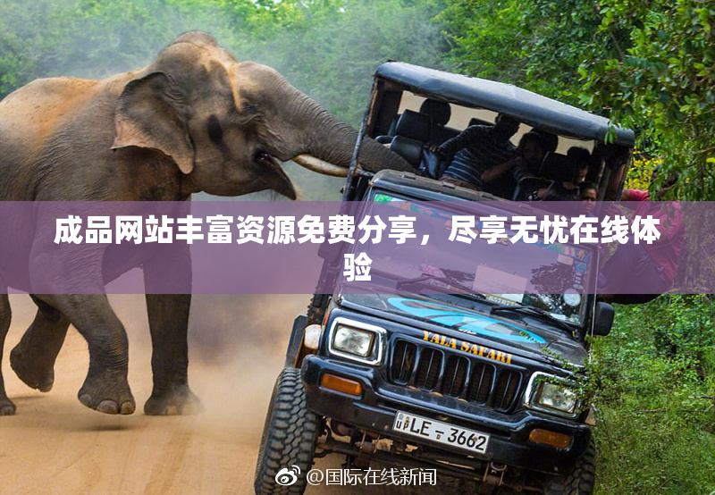 成品网站丰富资源免费分享，尽享无忧在线体验
