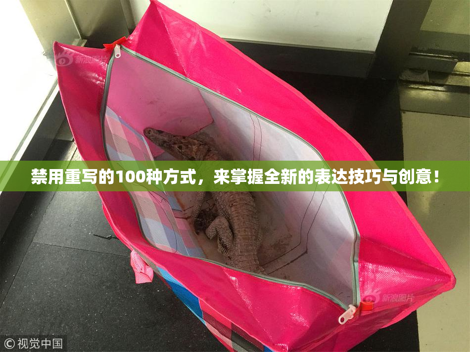 禁用重写的100种方式，来掌握全新的表达技巧与创意！