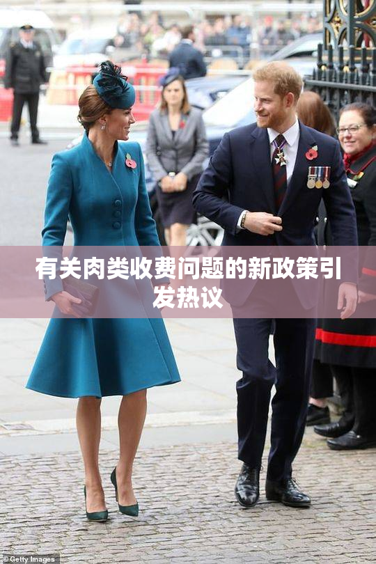 有关肉类收费问题的新政策引发热议