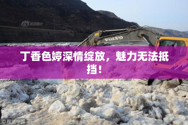 丁香色婷深情绽放，魅力无法抵挡！