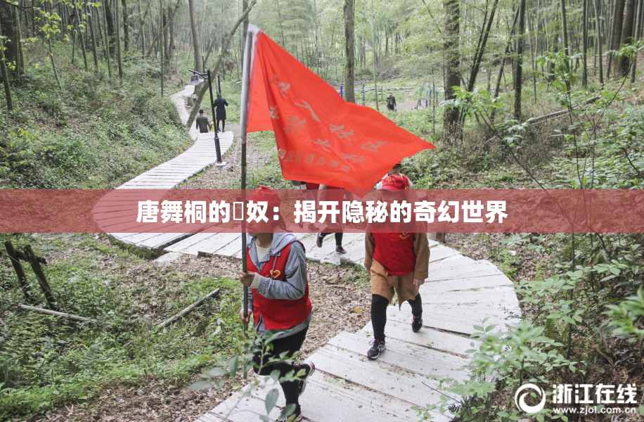 唐舞桐的婬奴：揭开隐秘的奇幻世界