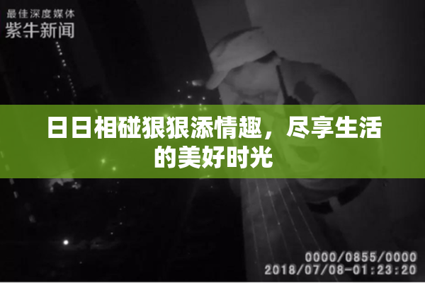 日日相碰狠狠添情趣，尽享生活的美好时光