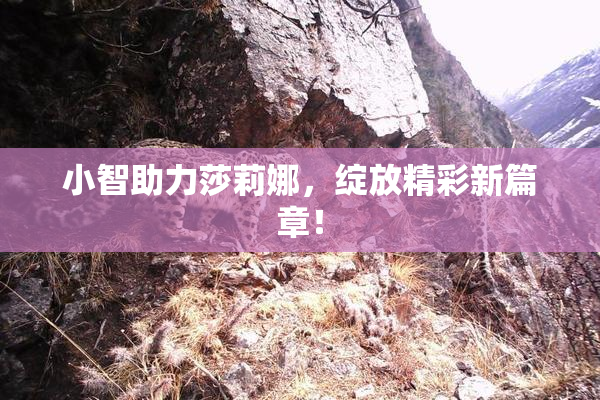 小智助力莎莉娜，绽放精彩新篇章！