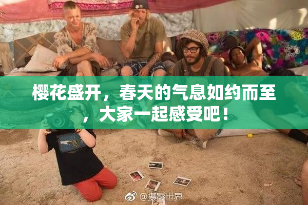 樱花盛开，春天的气息如约而至，大家一起感受吧！